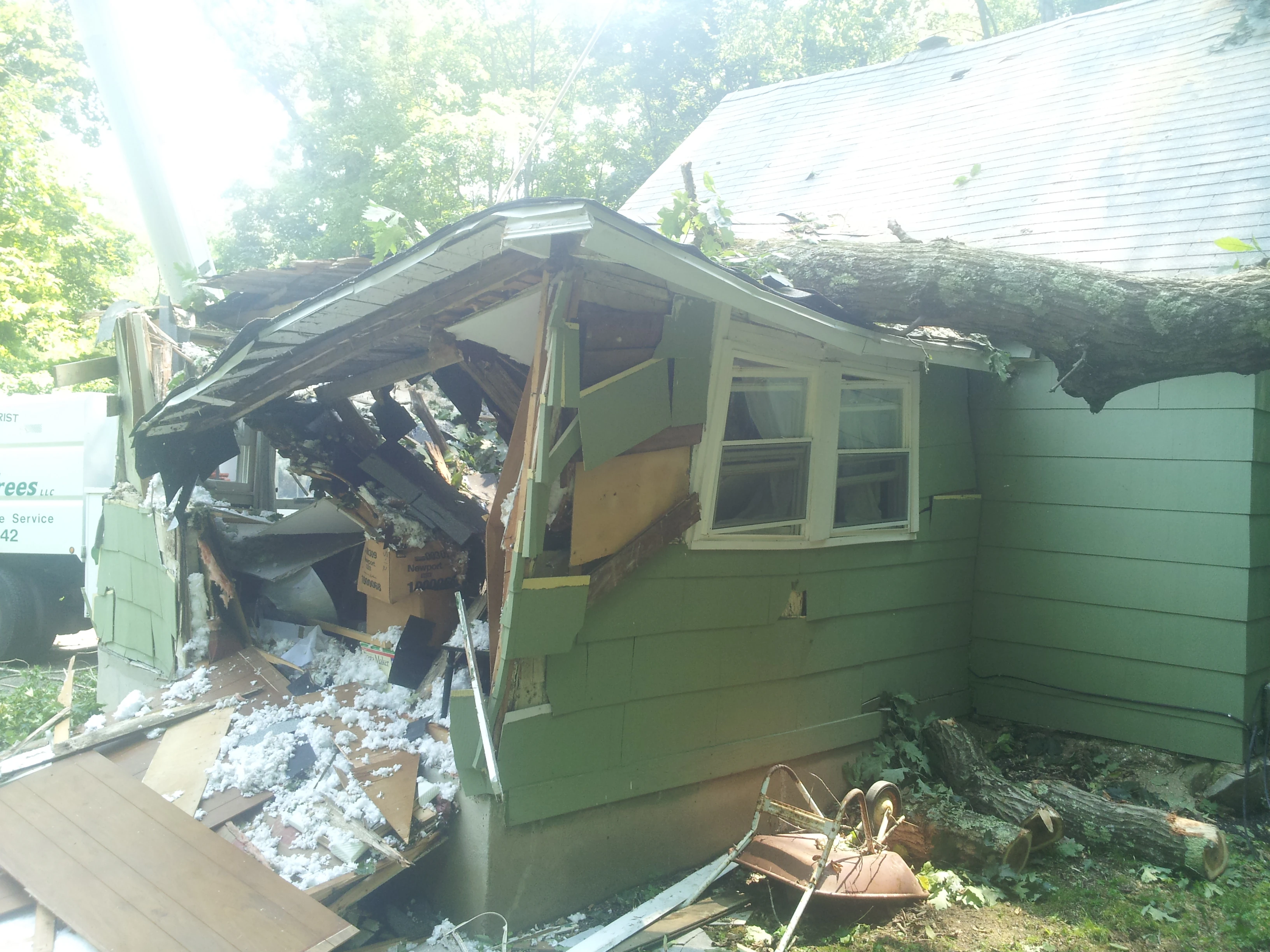 A large tree fallen through a house roof — storm damage response by Passion For Trees