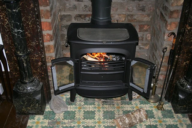 Wood stove burning firewood cut from removed trees